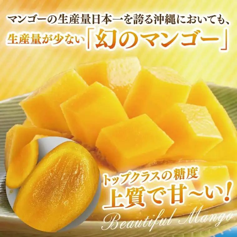 【訳あり】菜々色畑のキーツマンゴー 3～7玉(約2.5kg)【白箱】