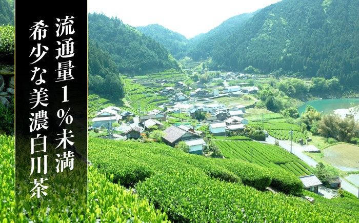美濃白川茶 新茶セット お茶 おちゃ お茶葉 茶葉 緑茶 新茶 しんちゃ 白川茶 白川町