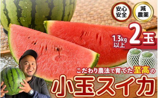 【先行予約】 安心安全！減農薬！こだわり農法で育てた至高のピノガール (小玉スイカ) 2玉 (1玉あたり：1.3kg以上) 【2027年7月中旬以降順次発送予定】 【スイカ 西瓜 すいか デザート 果物 くだもの 夏 甘い ジューシー 旬の果物 産地直送 国産】 [A-21215]