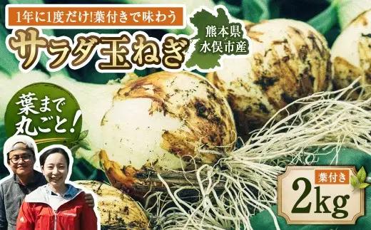【2027年1月下旬発送開始】1年に1度だけ!葉付きで味わうサラダ玉ねぎ／2kg（優品・サイズ混合）＜栽培期間中は無農薬・無化学肥料栽培／熊本県水俣市産／耕人舎＞ 玉ねぎ たまねぎ タマネギ 玉葱 野菜 取り寄せ 産地直送