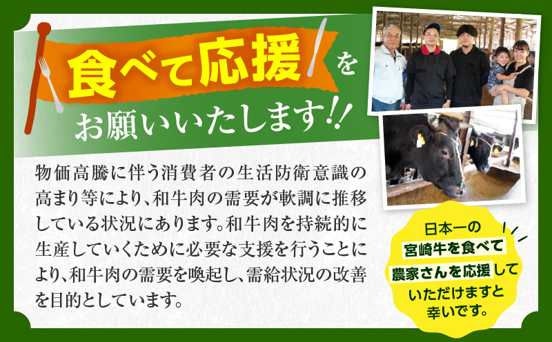 【1月末までにお届け】【畜産農家応援】数量限定 厳選 宮崎牛 赤身 焼肉 計500g 粗挽きウインナー 牛肉 国産焼き肉 BBQ 鉄板焼き バーベキュー 人気 黒毛和牛 肩ウデ モモ A4 A5 等級