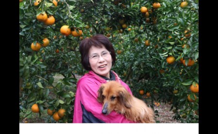 井村農園の足摺ぽんかん（５㎏）デコポンの親 みかん 柑橘 フルーツ 先行予約【R00222】