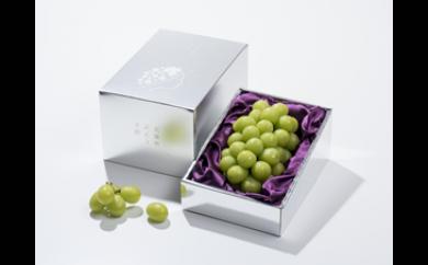 プラチナぶどう（シャインマスカット）