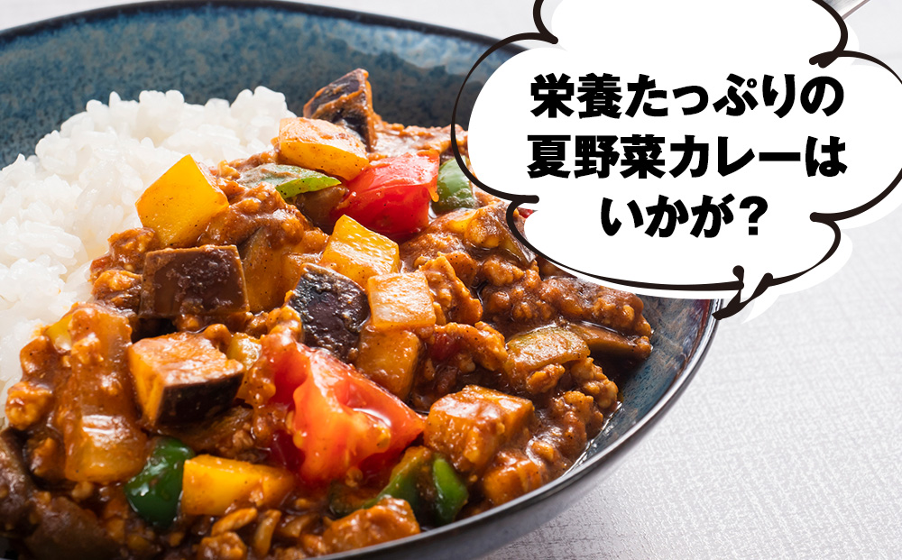 【2026年夏発送】秋山農園のおすすめ夏野菜セット5kg 5種 野菜詰め合わせ