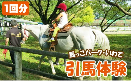 
            引馬体験 1回分 チケット 【馬っこパーク・いわて】／ ふれあい 引馬 引き馬 乗馬 体験 乗馬体験 馬 ホース ホースセラピー 動物 アニマル アニマルセラピー セラピー 癒し 体験チケット 観光 遊び あそび お出掛け お出かけ おでかけ アクティビティ 子供 子ども こども 大人 おとな おすすめ
          