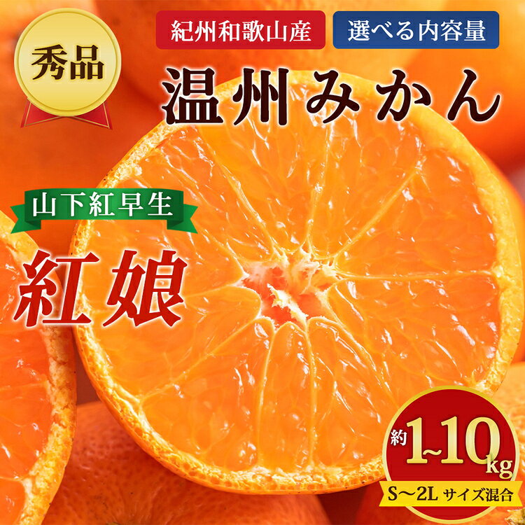 【ふるさと納税】＼選べる内容量／ 【先行予約】【秀品】紀州和歌山産 温州みかん 山下紅早生「紅娘」（箱込み）約1～10kg S～2L サイズ混合