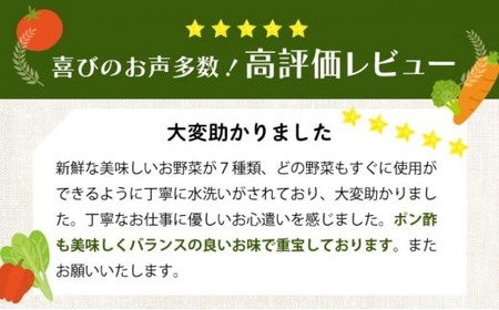 季節のお野菜詰め合わせセット 定期便 2回 旬のおまかせ 詰め合わせ 産地直送 季節の新鮮 野菜 定期便 果物 セット じゃがいも きゅうり トマト とうもろこし アスパラガス 玉ねぎ 蓮根 等  ふ
