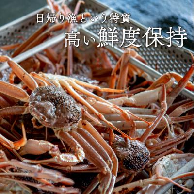 ふるさと納税 小浜市 【先行受付】【1月上旬から順次発送】朝ゆで越前ガニ1杯【約1kg】 |  | 03