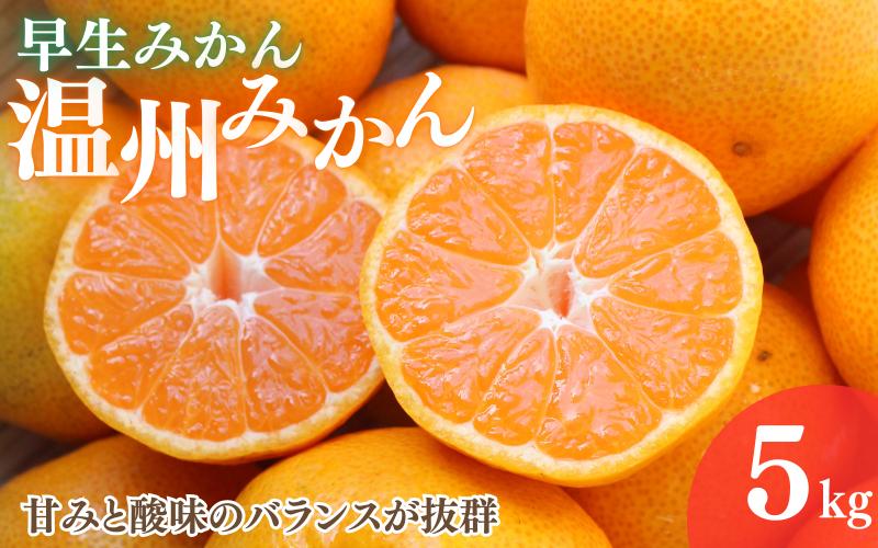 
                  【2026年分先行予約】早生みかん 温州みかん　5kg【11月中旬以降発送予定】 / 和歌山県 田辺市 みかん 早生みかん うんしゅうみかん 柑橘【mrn008-3】
                