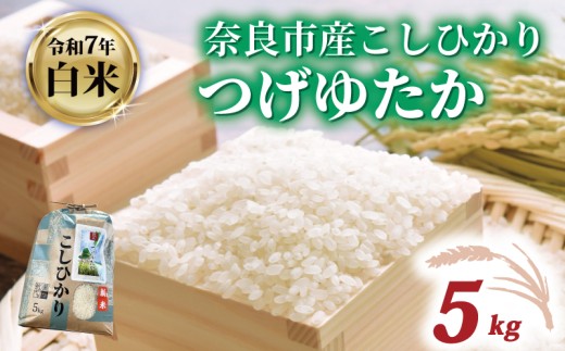 白米 コシヒカリ 5kg 令和7年産 つげゆたか 米 お米 精米 産地直送 農家直送 おむすび こしひかり お弁当 ご飯 ごはん ブランド米 奈良県 奈良市 都祁地産地消推進会