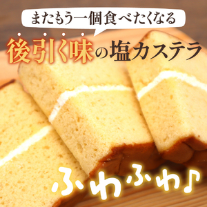塩カステラ てんどう小町 18個入り スイーツ お菓子 山形県 天童市 07-16-004