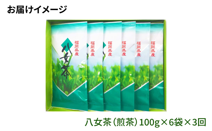 【全3回定期便】八女茶6袋（600g）セット＜お茶の星陽園 ＞那珂川市 [GAD005]