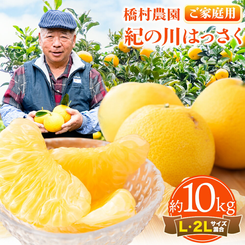 【先行予約】【ふるさと納税】【訳あり/ご家庭用】 紀の川はっさく 約10kg (L・2Lサイズ混合) 橋村農園《2025年12月中旬-2026年2月下旬出荷》ふるさと納税 和歌山県 紀の川市 八朔 はっさく ご家庭用 訳あり