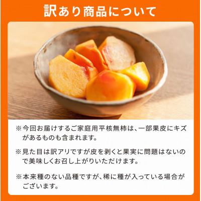 ふるさと納税 九度山町 【2025年発送】【ご家庭用わけあり】和歌山秋の味覚　平核無柿(ひらたねなしがき)　約3.5kg |  | 03