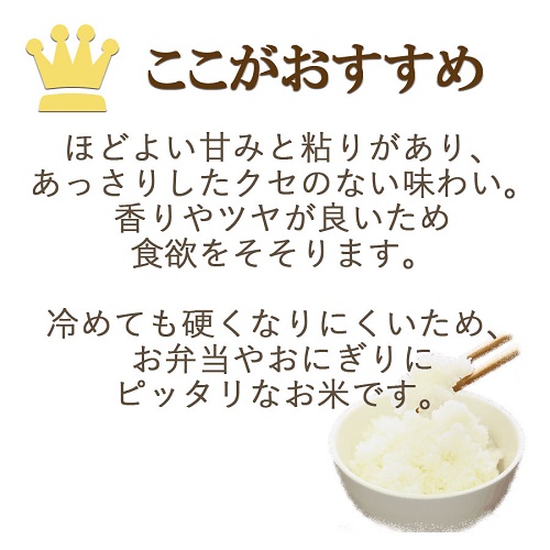 愛知県産あいちのかおり 5kg ※6回定期便　米 こめ コメ 白米 ごはん 国産 精米 5キロ 安心安全なヤマトライス　H074-692