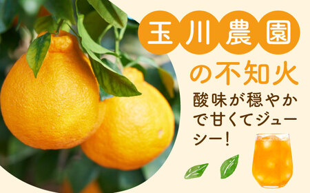 みかんジュース（不知火）720ml×4本 みかんジュース[AGBC001]