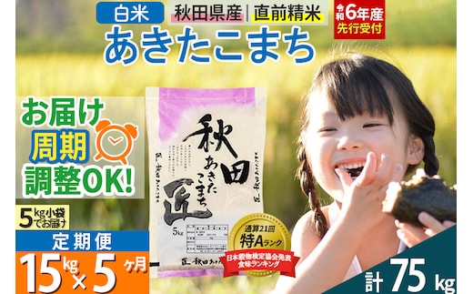 
										
										【白米】＜令和6年産 予約＞ 《定期便5ヶ月》秋田県産 あきたこまち 15kg (5kg×3袋)×5回 15キロ お米【お届け周期調整 隔月お届けも可】
									