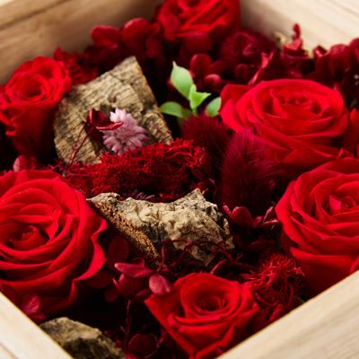 ふるさと納税 日出町 プリザーブドフラワー赤 |  | 01