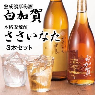 ふるさと納税 太田市 熟成濃厚梅酒白加賀・本格麦焼酎ささいなた3本セット