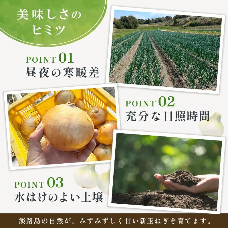 新玉ねぎ 淡路島産 10kg 甘い みずみずしい 新玉ねぎ