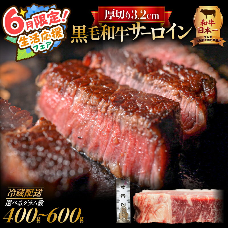 【ふるさと納税】【期間限定 生活応援】黒毛和牛 厚切り サーロイン 【 選べる グラム数 】 400g 500g 600g 送料無料 高評価 サーロインステーキ ステーキ 焼肉 ブロック 厚切 厚い タレ 薬味 トング プロ 冷蔵 解凍不要 国産 鹿児島市 土産 贈り物 プレゼント ギフト 贈答