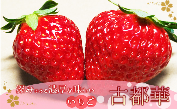 
奈良県大和郡山市産いちご「古都華」 [№5990-0603]
