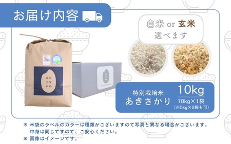 【先行予約】【令和7年産】特別栽培米あきさかり 10kg（白米）受賞歴多数！福井県 坂井町産 【特別栽培米 白米 玄米 お米】【2025年9月下旬より順次発送予定】 [B-4805_01]