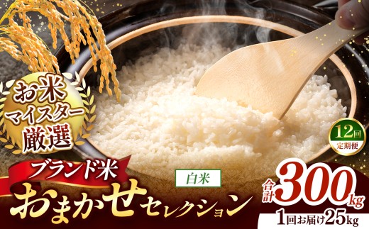 【 令和7年産 】おまかせ セレクション 【定期便12回】熊本県産 白米  ＜ひのひかり / 森のくまさん / くまさんの輝き ＞ 25kg  | 単一銘柄 米 単一米 お米 こめ 小分け 人気 コメ お米 5kg 10kg 15kg 20kg 25kg 30kg 定期便 3回 6回 12回 ブランド米 菊池川流域 家庭用 送料無料 熊本 くまもと 熊本県 和水 和水町 人気 ごはん