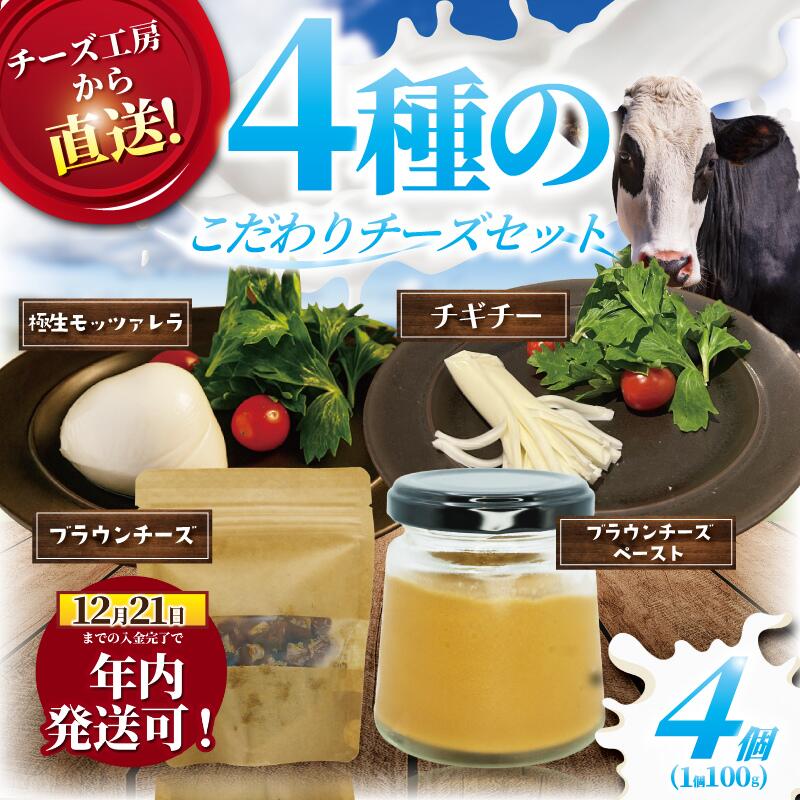【ふるさと納税】 年内発送 ! 12/21決済完了分まで チーズ ブラウンチーズ チーズ セット 4種 ブラウンチーズ入 モッツァレラチーズ ペースト チギチー さけるチーズ 極生 モッツァレラ ちーず ナチュラルチーズ Aprotodo’S株式会社 10000円 RRAAP BREWERY 神奈川 湘南 藤沢