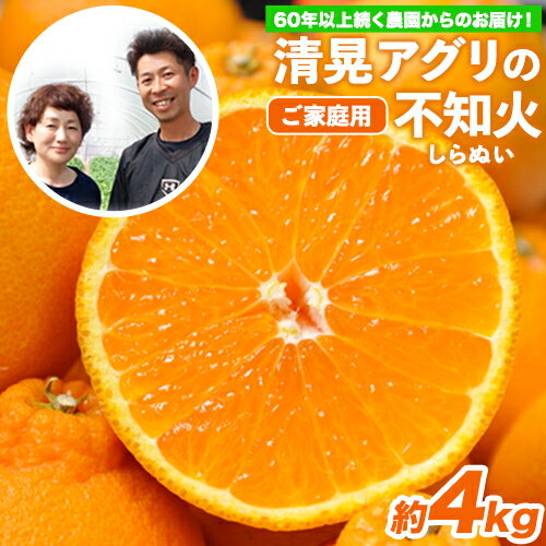 【ふるさと納税】秋 旬 みかん 期間限定 『清晃アグリ』のご家庭用不知火(しらぬい)約4kg(L-4Lサイズ)10玉-16玉前後 【日付指定不可】 フルーツ 旬★デコポンと同品種★熊本県玉名郡玉東町『清晃アグリ』不知火 訳あり《3月上旬-3月下旬頃出荷》