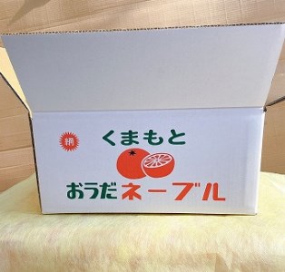 101-07【訳あり】　村田果樹園　減農薬で安心安全な完熟網田ネーブル　約５kg（大きさ：M～３L　約25玉）