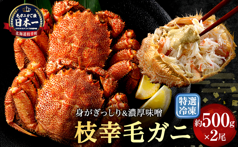 【漁獲量日本一】至福の逸品！特選冷凍「枝幸毛がに」約500g×2尾【 毛蟹 毛ガニ オホーツク 北海道 加工食品 地域のお礼の品 カタログ 毛ガニ 北海道 オホーツク 枝幸 】
