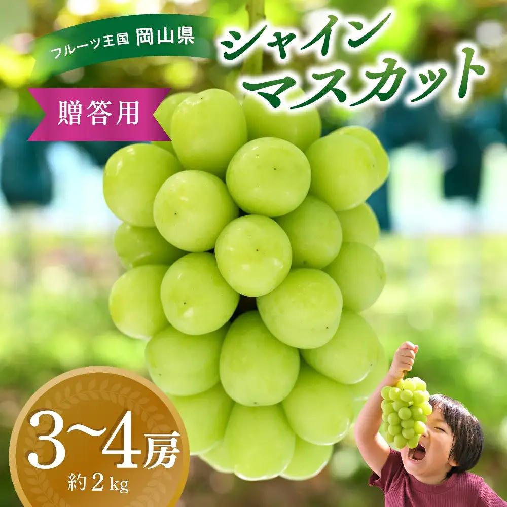【2027年発送】シャインマスカット 岡山県産ぶどう シャインマスカット約2kg（3～4房） 【hana016-03】