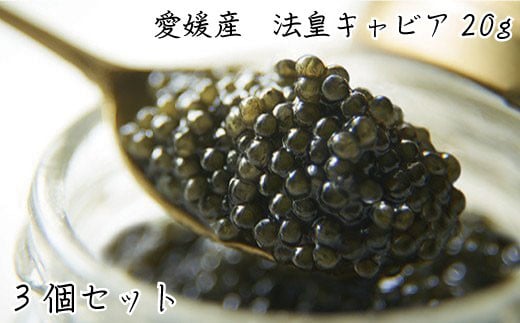 
法皇キャビア（20ｇ）桐箱入り　3個セット
