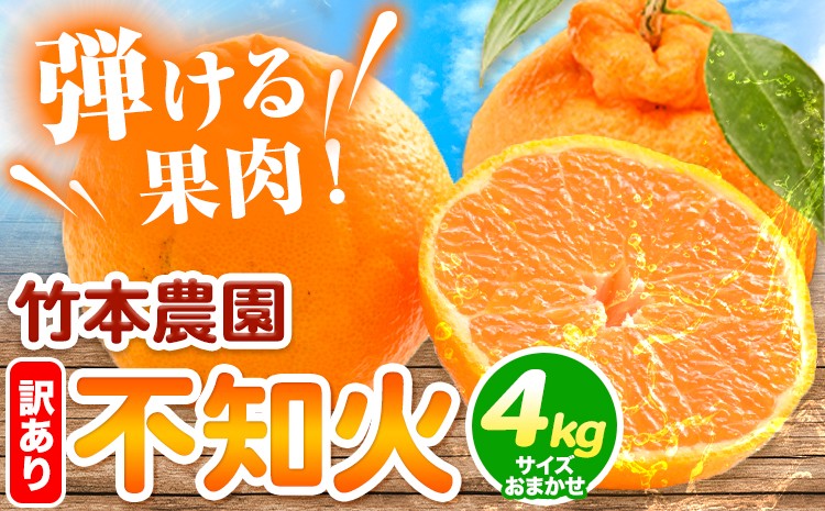 
                  【先行予約】訳あり 不知火 （ デコポン と同品種） 4kg サイズ おまかせ《2027年3月中旬-4月末頃出荷》竹本農園 和歌山県 日高川町 旬 新鮮 果物 柑橘 フルーツ 国産 送料無料 デコポン でこぽん 訳ありデコポン 訳あり不知火 ワケアリ わけあり みかん st-p
                