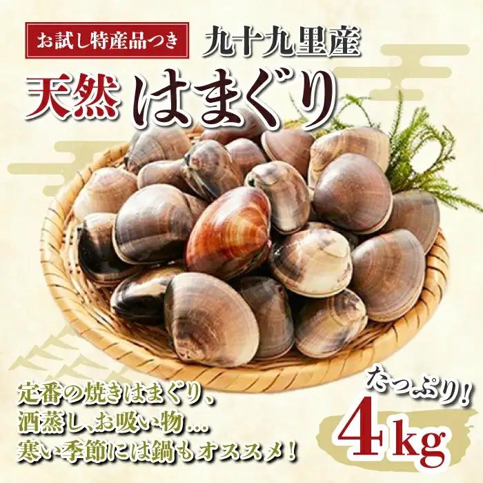 【お試し特産品つき】九十九里産 大粒 天然はまぐり4.0kg SHF003/ 絶品天然はまぐり 万能食材天然はまぐり 九十九里産天然はまぐり 蛤 ハマグリ海鮮 貝 貝類 