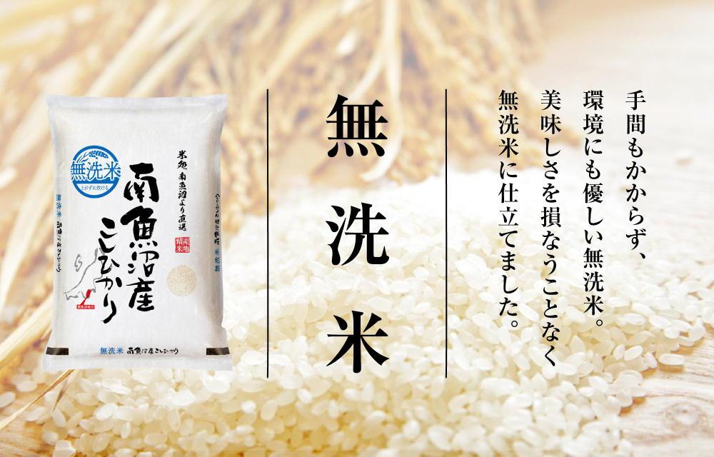 【2025年10月発送　先行受付】南魚沼産こしひかり　無洗米（5kg×全6回）