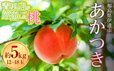 福島県産 あかつき 約5kg 2025年7月下旬～2025年8月中旬発送 2025年出荷分 先行予約 青果店厳選 予約 伊達の桃 冷蔵配送 もも モモ 果物 くだもの フルーツ 名産品 国産 食品  F20C-668