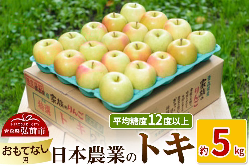 
            りんご 【先行受付】平均糖度12度以上！ トキ 約5kg おもてなし用
          