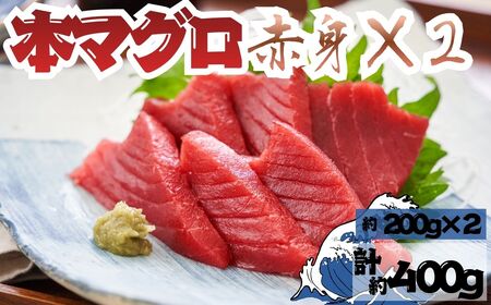 本マグロ 赤身 2柵 国産 本鮪[fu-0027-005]