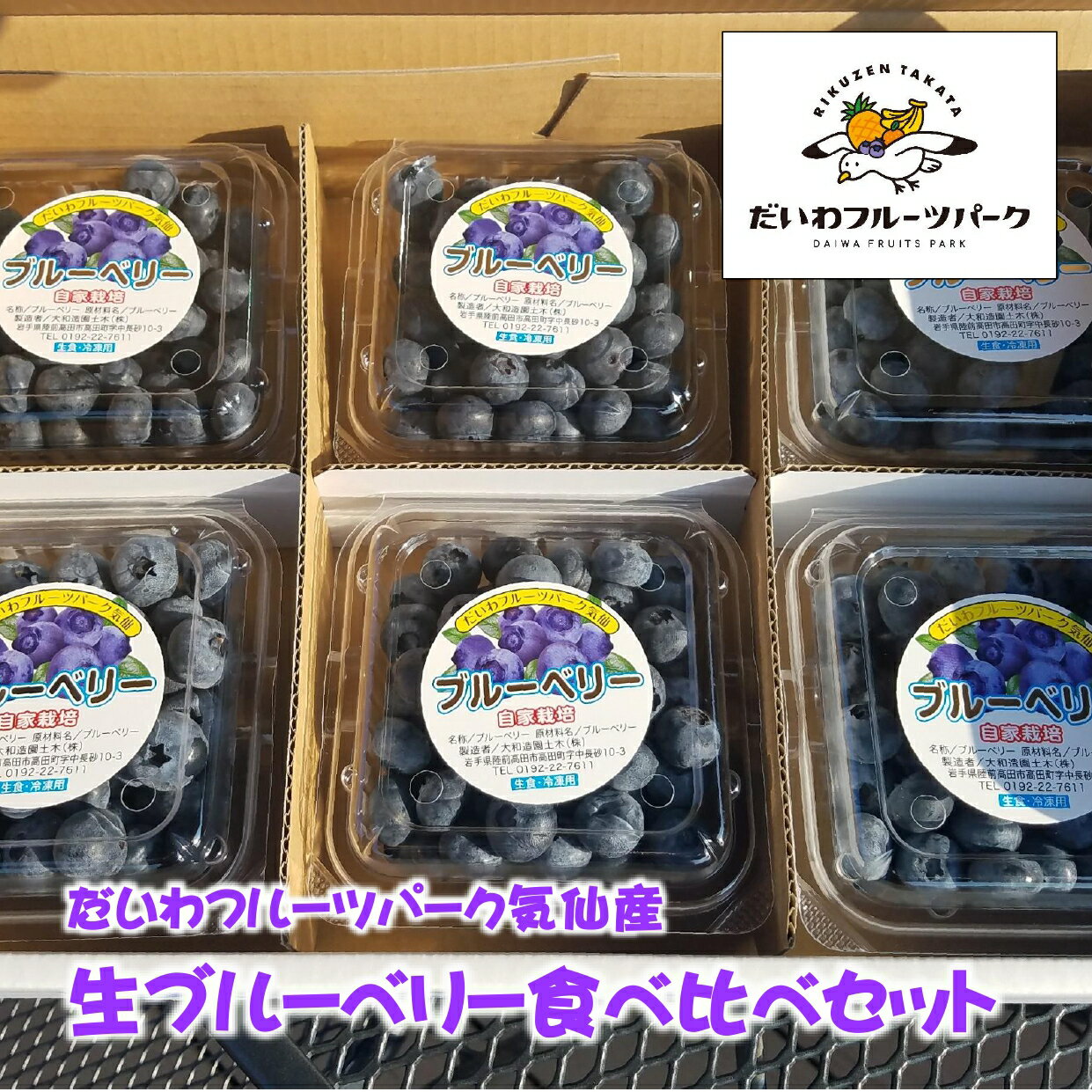 【ふるさと納税】産地直送 生ブルーベリー 1.2kg ( 200g × 6個 ) 品種おまかせ [ ブルーベリー 食べ比べ 新鮮 果物 フルーツ ベリー 料理 スイーツ デザート 摘みたて ジャム 贈答品 プレゼント ギフト 旬 期間限定 数量限定 だいわフルーツパーク気仙