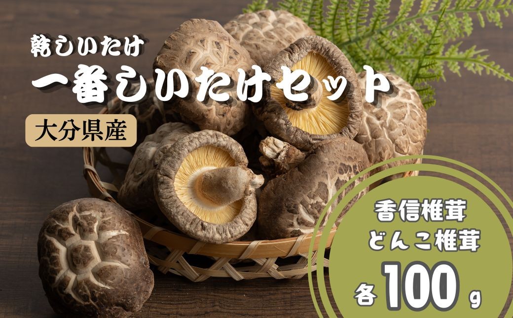 
                  椎茸(しいたけ) 乾椎茸 一番椎茸セット (計200g) | 椎茸 乾燥椎茸 干椎茸 きのこ しいたけ シイタケ セット 大分県産 九州 津久見市 国産 どんこ椎茸 こうしん椎茸 縁起物 送料無料
                