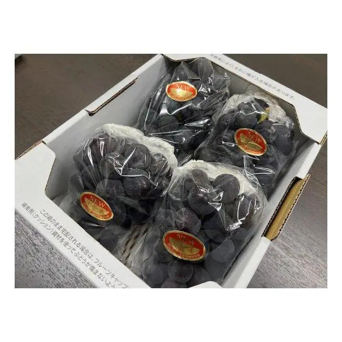 ぶどう 2026年 岡山県産 ニュー ピオーネ 4房(1房480g以上) | 葡萄 ピオーネ フルーツ 果物 くだもの フレッシュ 国産 岡山 食品 人気 おすすめ 送料無料 ギフト 贈り物 贈答品 