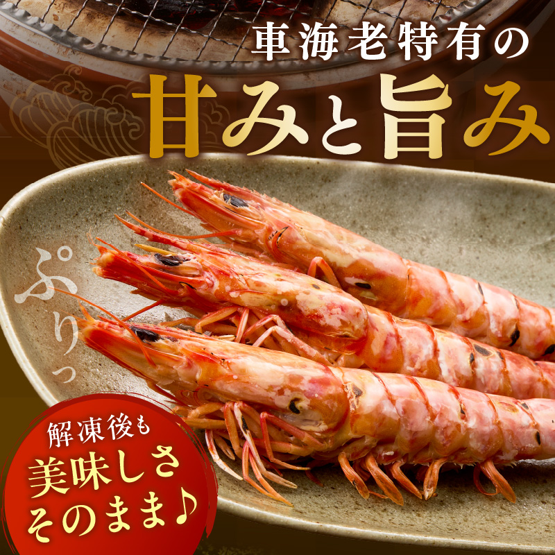 伊万里産 大車海老の塩焼き8匹セット（1pc/2尾×4pc） 010-C167