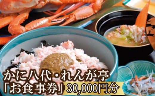 「お食事」で使える利用券30,000円分！ 海鮮 ランチ 昼食 お祝い カニ かに カニ 蟹 イカ 白いか 香住ガニ 松葉がに グルメ 食べ物 誕生日 ギフト券 プレゼント 食事券 母の日 父の日 旅行 返礼品 お礼の品 兵庫県 香美町 香住 かに八代 れんが亭 日本海フーズ 102000円 07-101