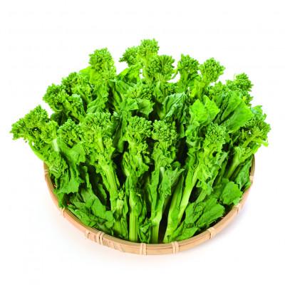 ふるさと納税 まんのう町 菜の花(袋入り) 約2kg