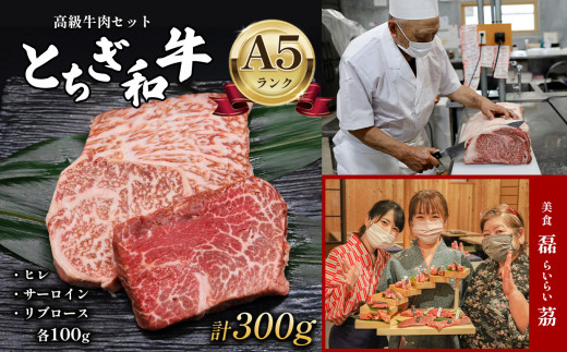 
とちぎ和牛 高級牛肉セット 2人前 A5ランク ヒレ / サーロイン / リブロース 各100g ( 合計 300g ) 真岡市 栃木県
