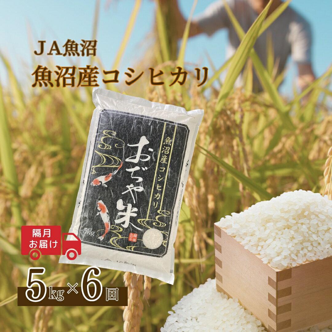 【ふるさと納税】【6か月定期便(隔月発送)】 令和7年産新米 魚沼産コシヒカリ 精米5kg(5kg×1袋)×全6回 ※2025年10月上旬から発送予定 JA魚沼 【0002-JA06DB00-01】