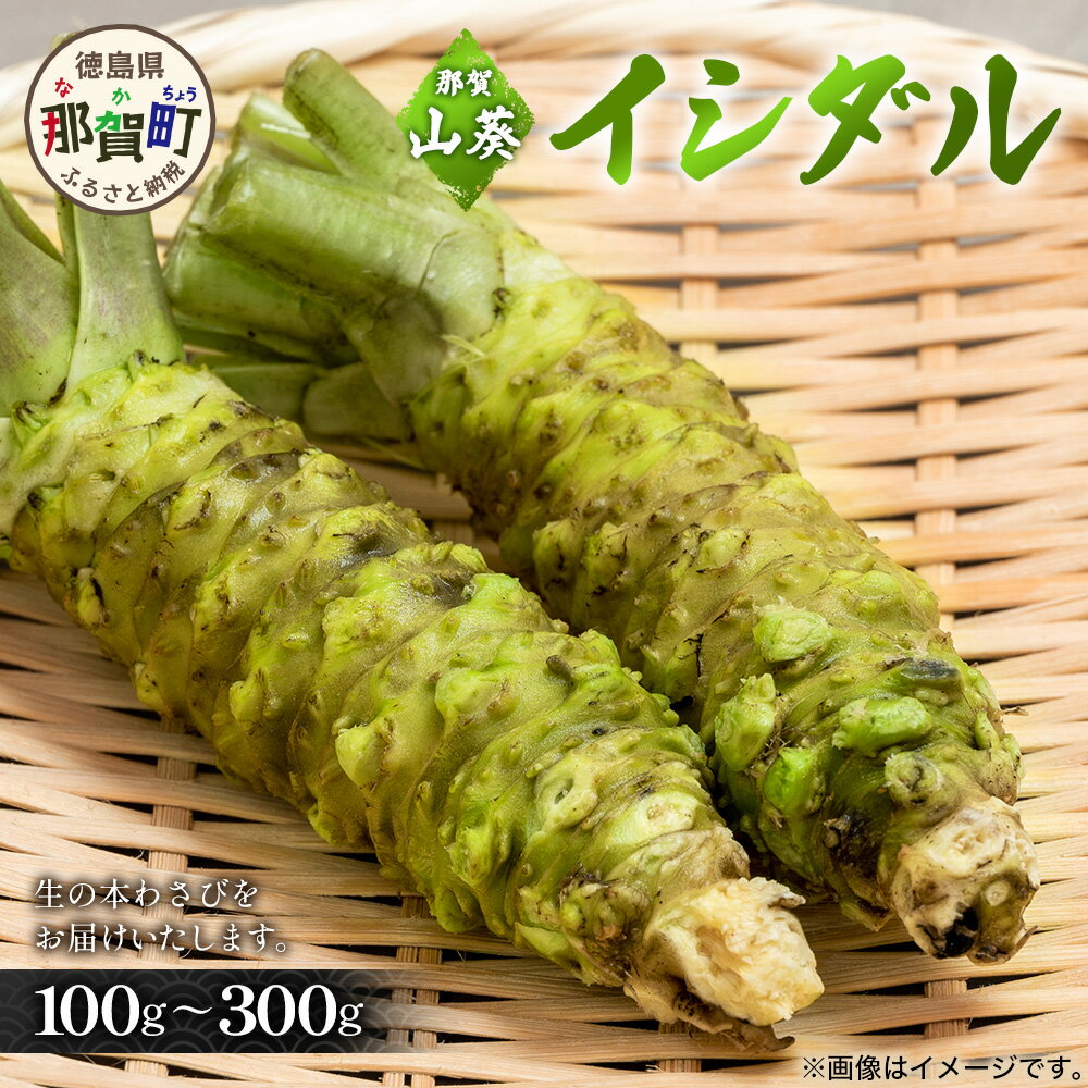【ふるさと納税】【選べる内容量】那賀わさび (イシダル) 約100g～約300g【徳島県 那賀町 生産者直送 産地直送 本わさび わさび ワサビ 生わさび 山葵 野菜 香味野菜 国産 イシダル 薬味 調味料 万能 新鮮】FN-111213