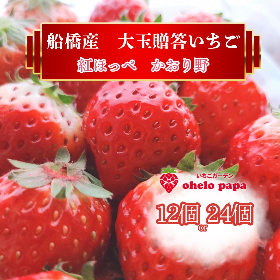 【ふるさと納税】いちご 大粒 12個 24個 イチゴ 苺 かおり野 紅ほっぺ 予約 先行予約 先行受付 数量限定 期間限定 限定果物 フルーツ 予約 ギフト 贈答